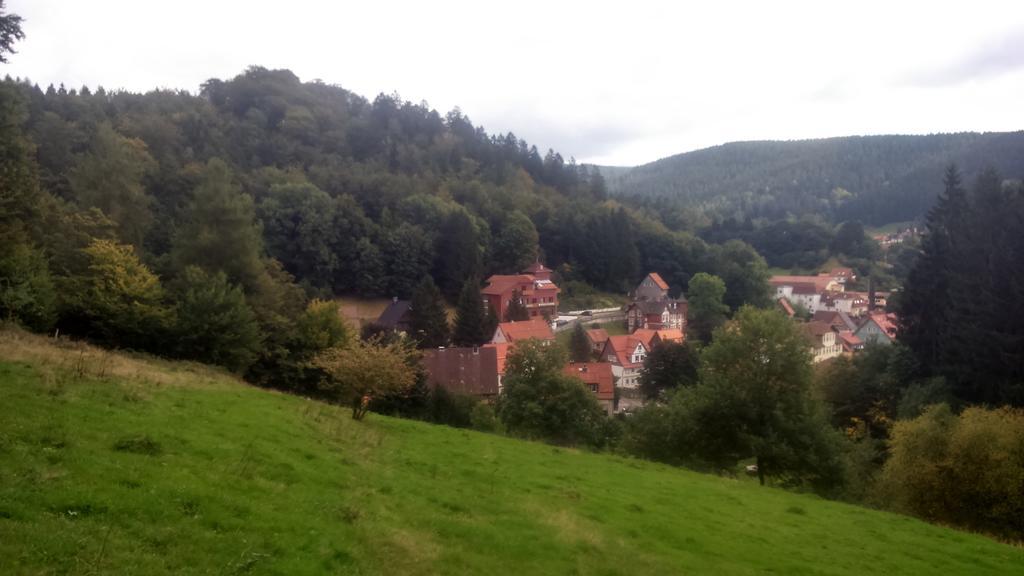 Hotel-Pension Waldhaus Bad Grund Zewnętrze zdjęcie