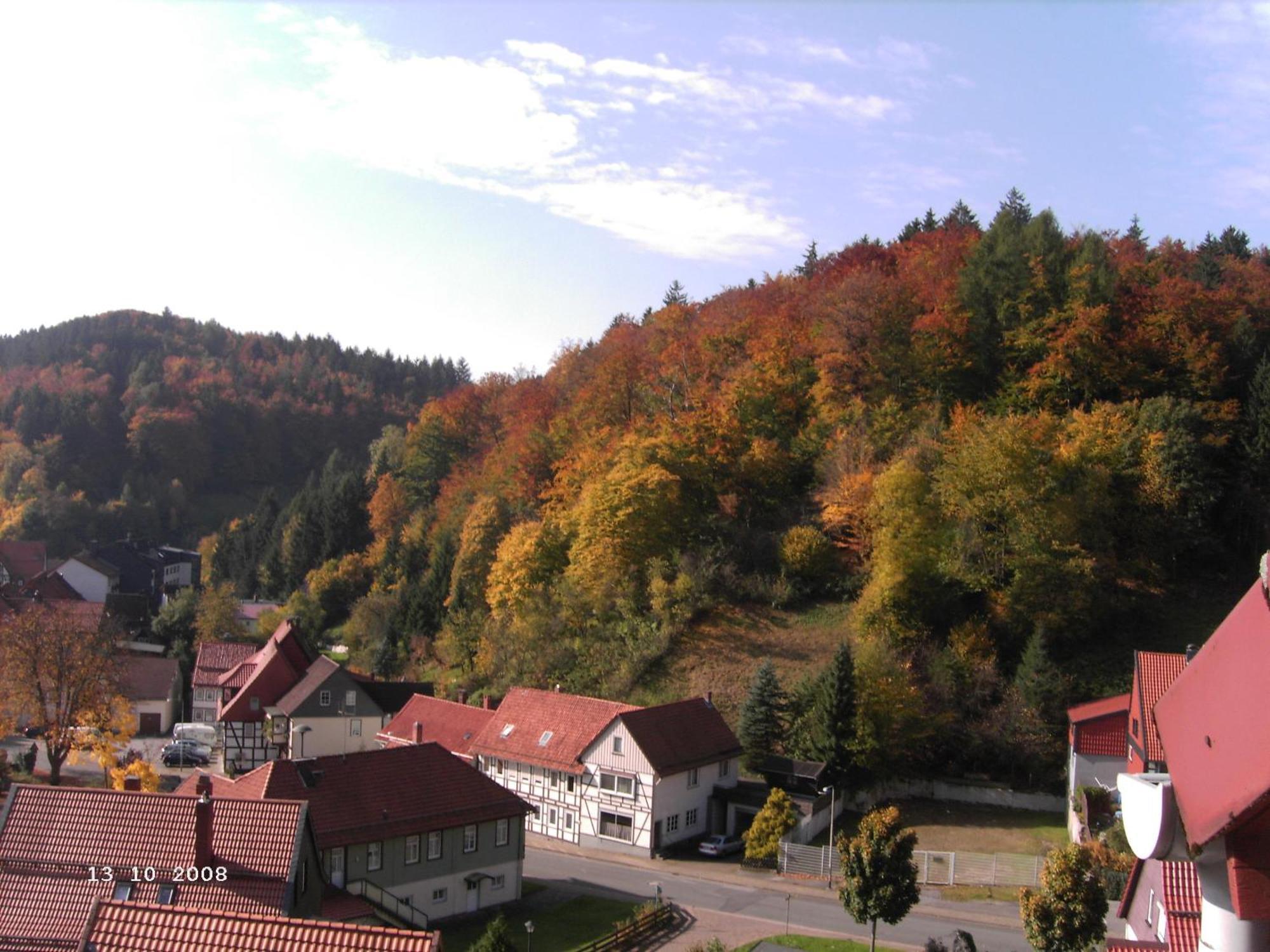 Hotel-Pension Waldhaus Bad Grund Zewnętrze zdjęcie