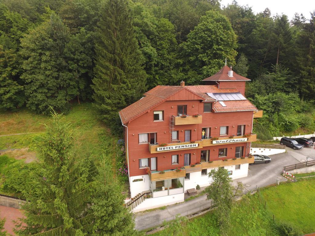 Hotel-Pension Waldhaus Bad Grund Zewnętrze zdjęcie