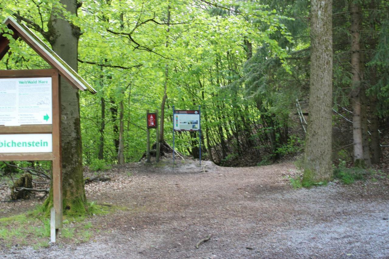 Hotel-Pension Waldhaus Bad Grund Zewnętrze zdjęcie