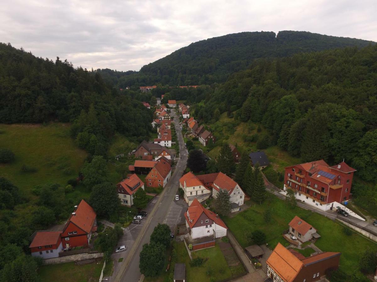 Hotel-Pension Waldhaus Bad Grund Zewnętrze zdjęcie
