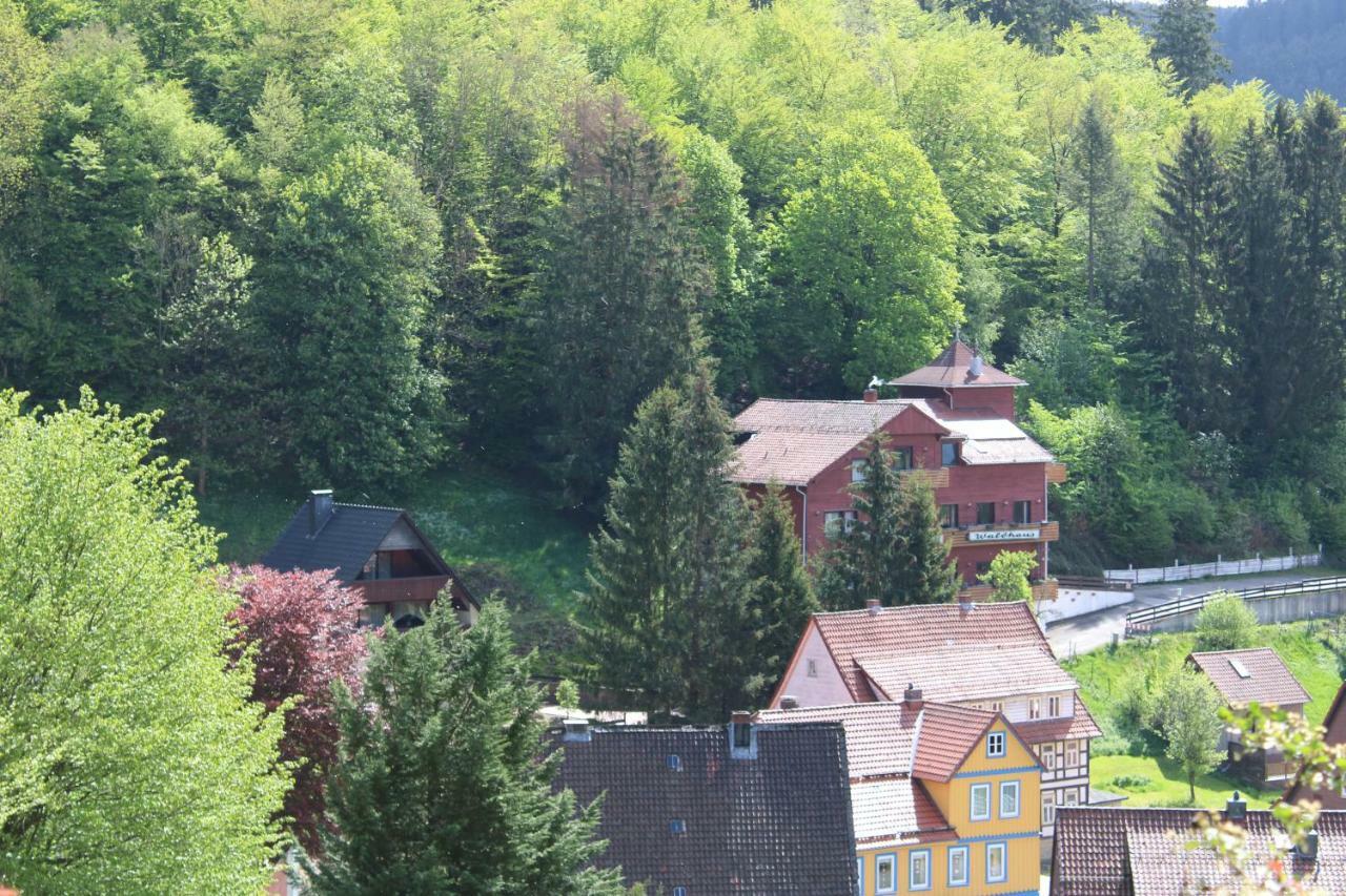 Hotel-Pension Waldhaus Bad Grund Zewnętrze zdjęcie