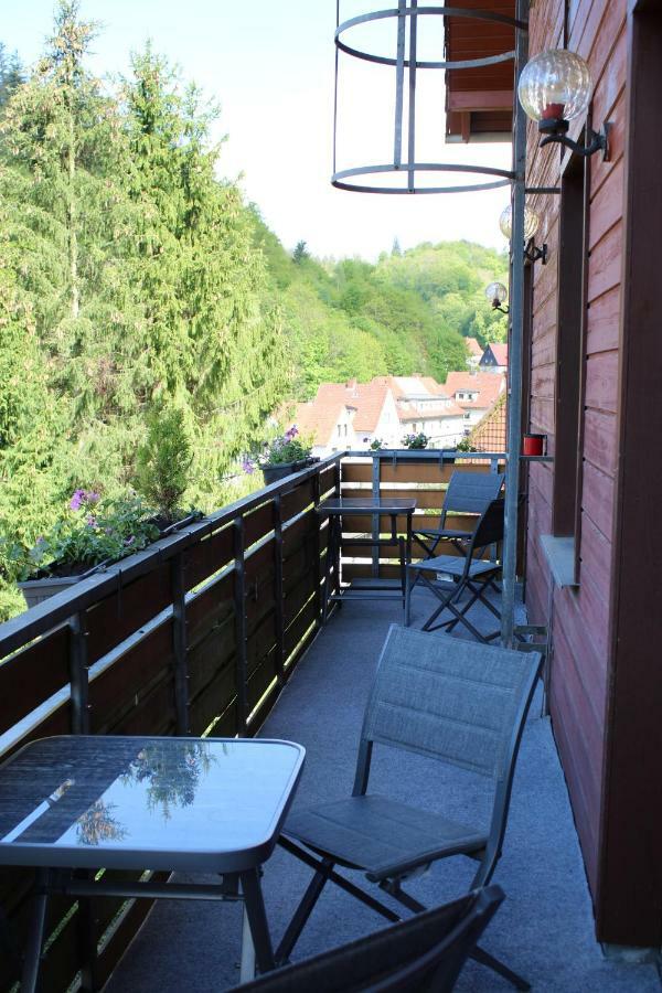Hotel-Pension Waldhaus Bad Grund Zewnętrze zdjęcie