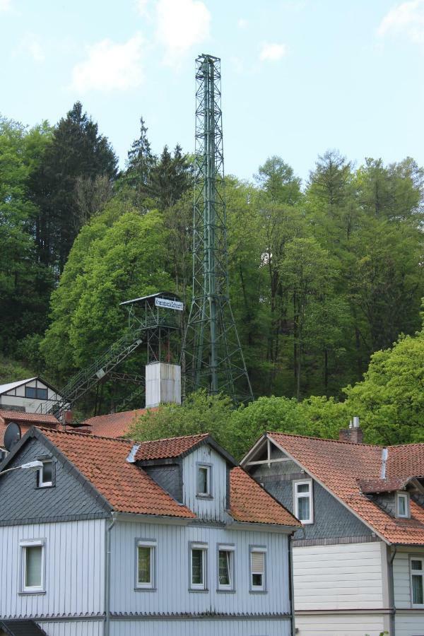 Hotel-Pension Waldhaus Bad Grund Zewnętrze zdjęcie